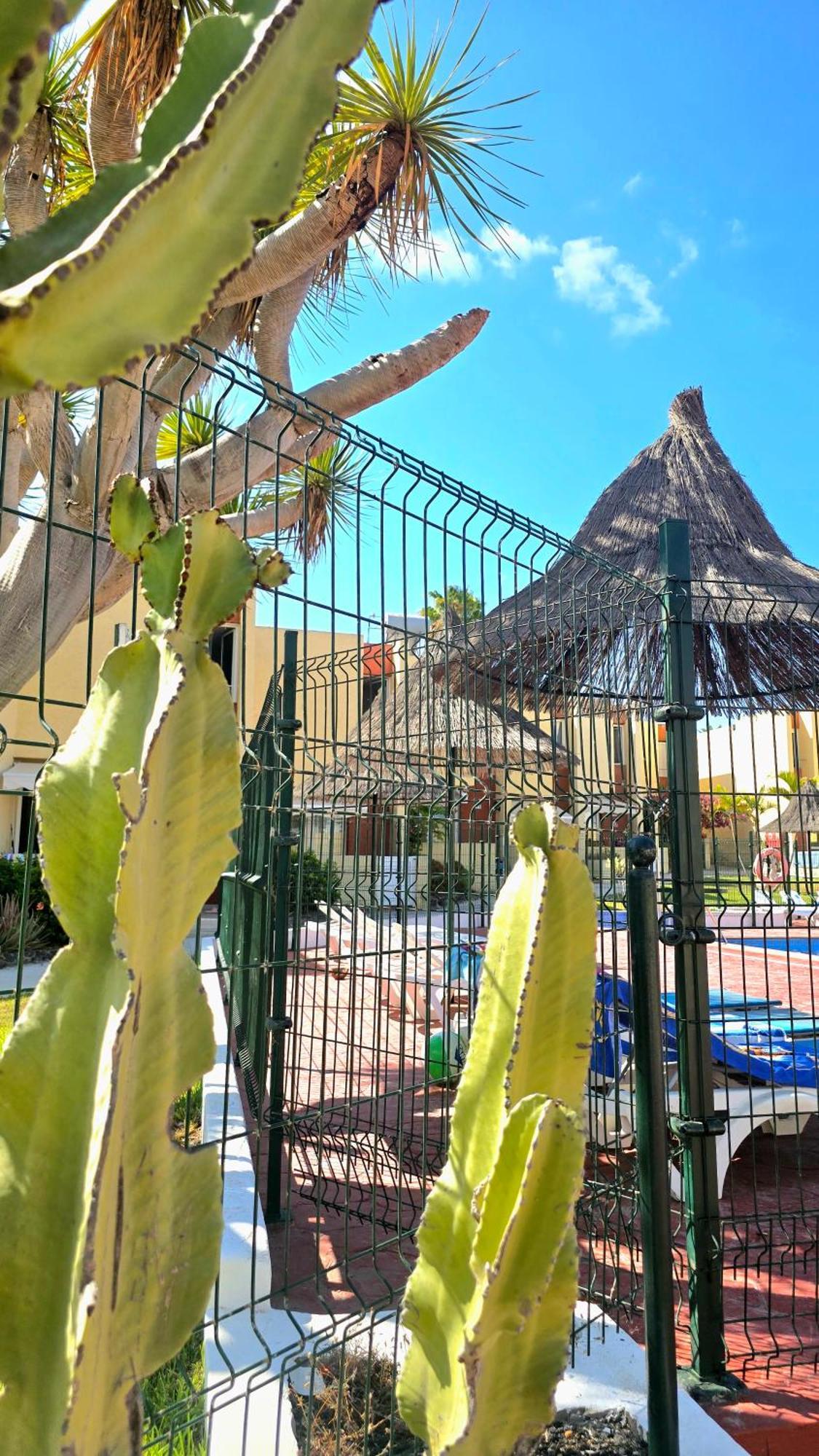 Dream Holiday Las Americas Playa de las Americas  Exteriör bild